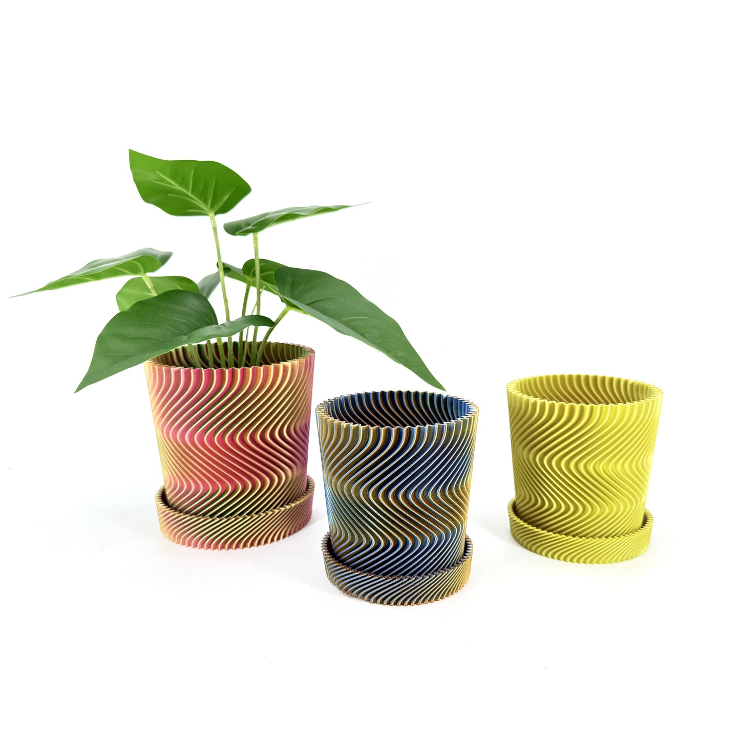 Zing Pot