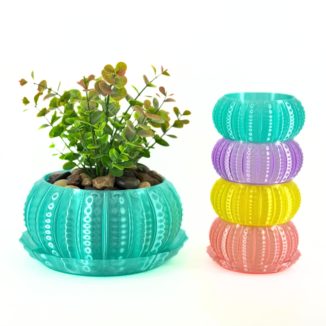 Sea Urchin Indoor Pot Set