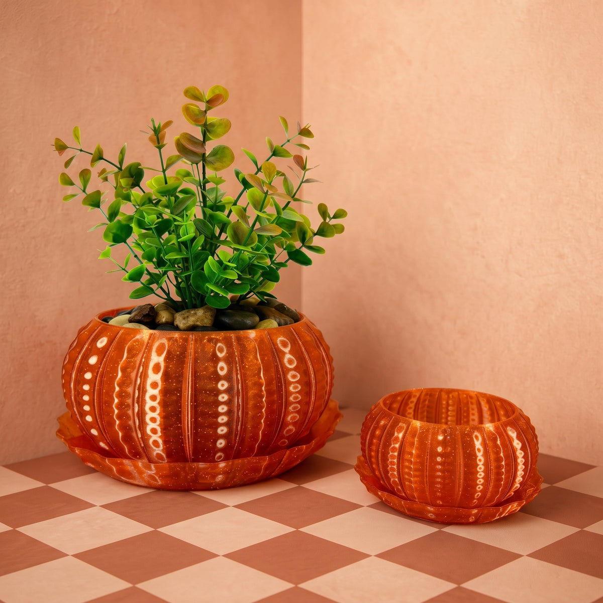 Sea Urchin Indoor Pot Set