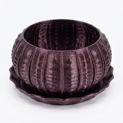 Sea Urchin Indoor Pot Set