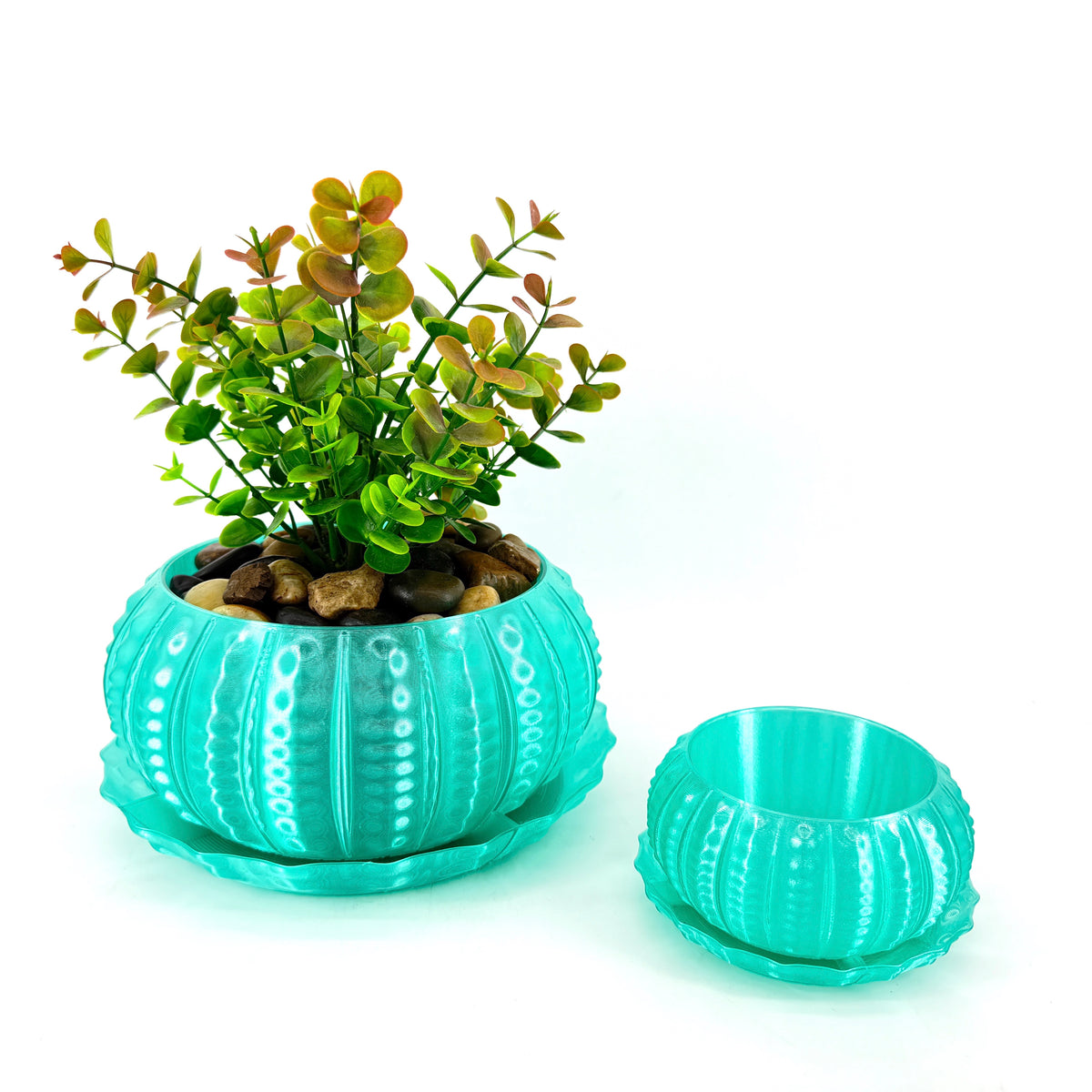 Sea Urchin Indoor Pot Set