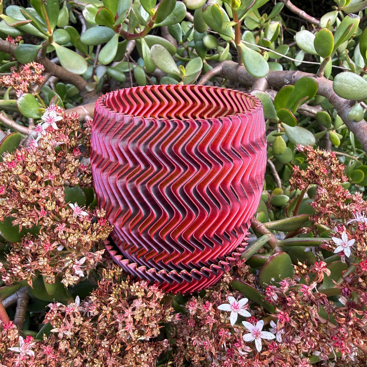 Ziggy Pot