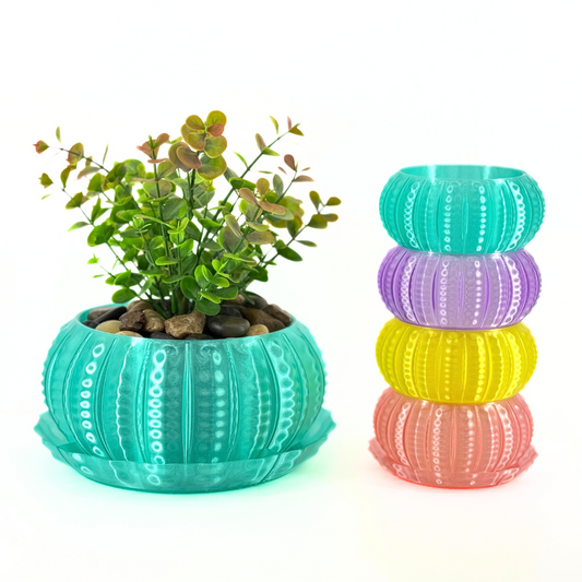 Sea Urchin Indoor Pot Set
