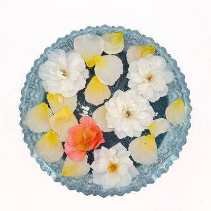 Sea Urchin Float Bowl