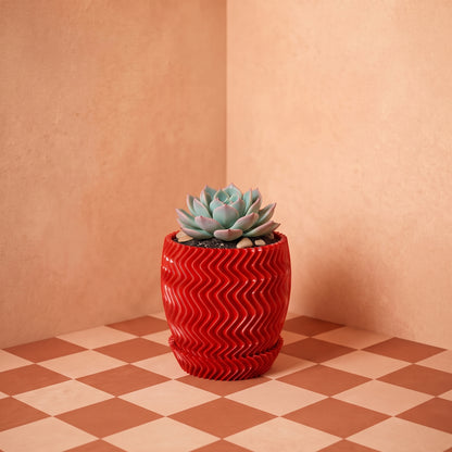 Ziggy Pot